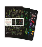 Anna Stead: Herbals Set of 3 Mini Notebooks