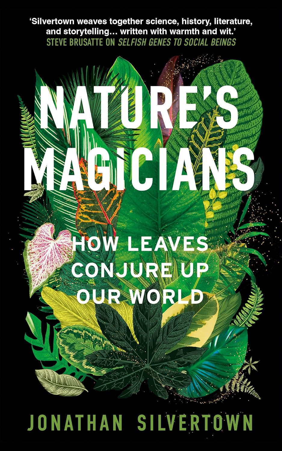 Nature's Magicians: How Leaves Conjure Up Our World