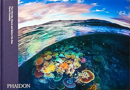 Two Worlds Above and Below the Sea