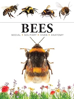 Bees (Mini Animals)