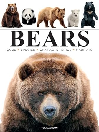 Bears (Mini Animals)