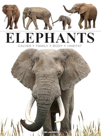 Elephants (Mini Animals)