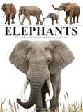 Elephants (Mini Animals)