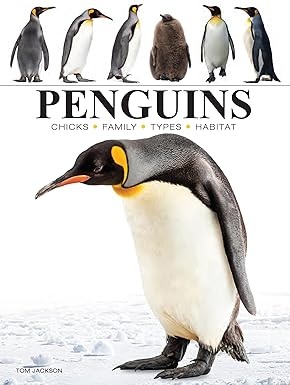 Penguins (Mini Animals)
