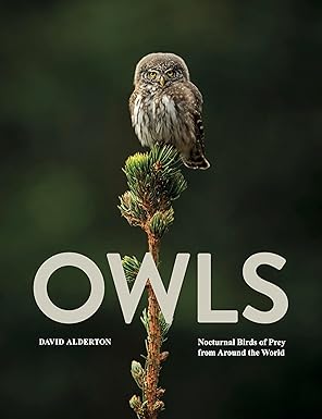 Owls