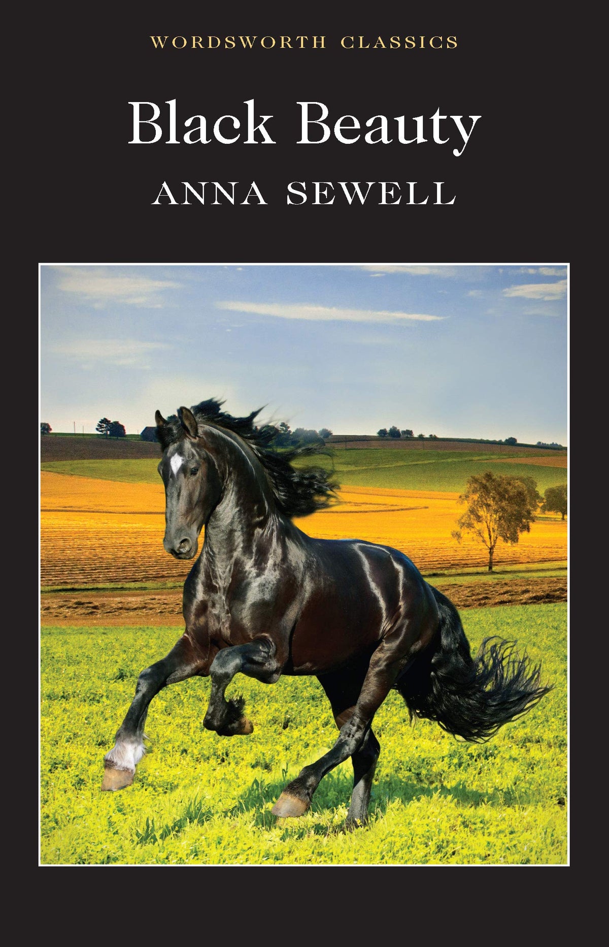 Black Beauty (Wordsworth Classics)
