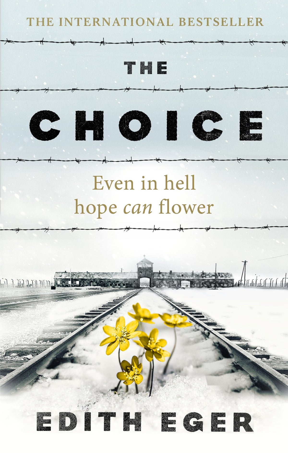 SH - The Choice: A true story of hope