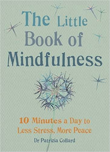 The Little Book of Mindfulness: 10 minutes a day to less stress, more peace (The Gaia Little Books Series)