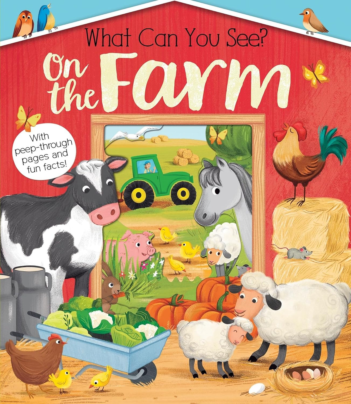 What Can You See On the Farm
