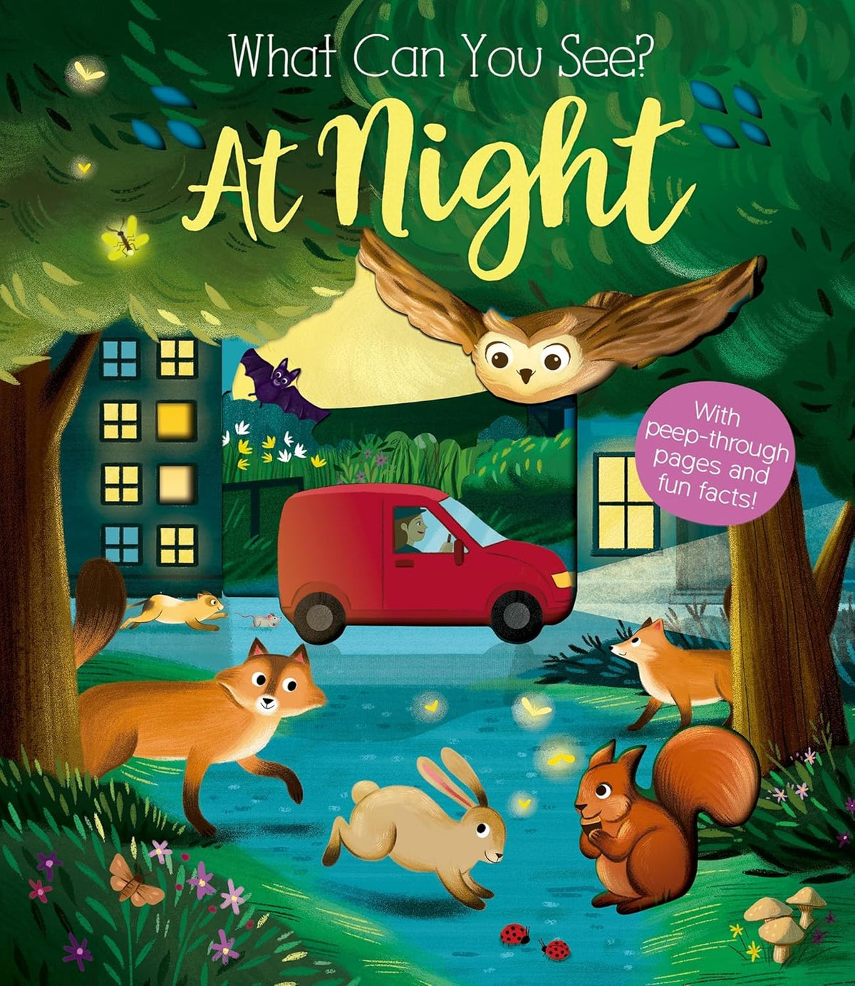 What Can You See At Night