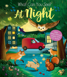 What Can You See At Night