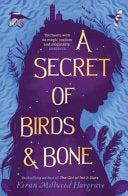 A Secret of Birds and Bone: from the bestselling author of The Girl of Ink and Stars