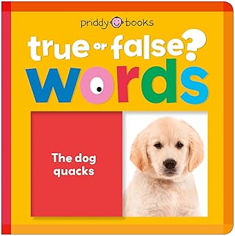 Words: A first learning lift-the-flap book with fun facts! (True or False?)