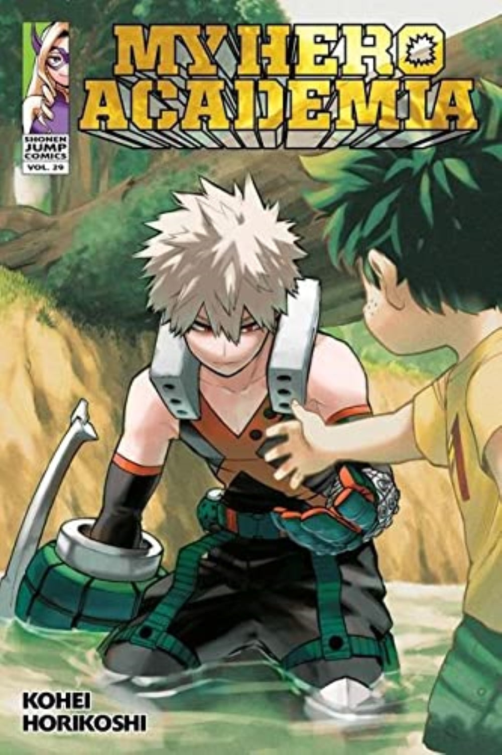 My Hero Academia, Vol. 29: Volume 29