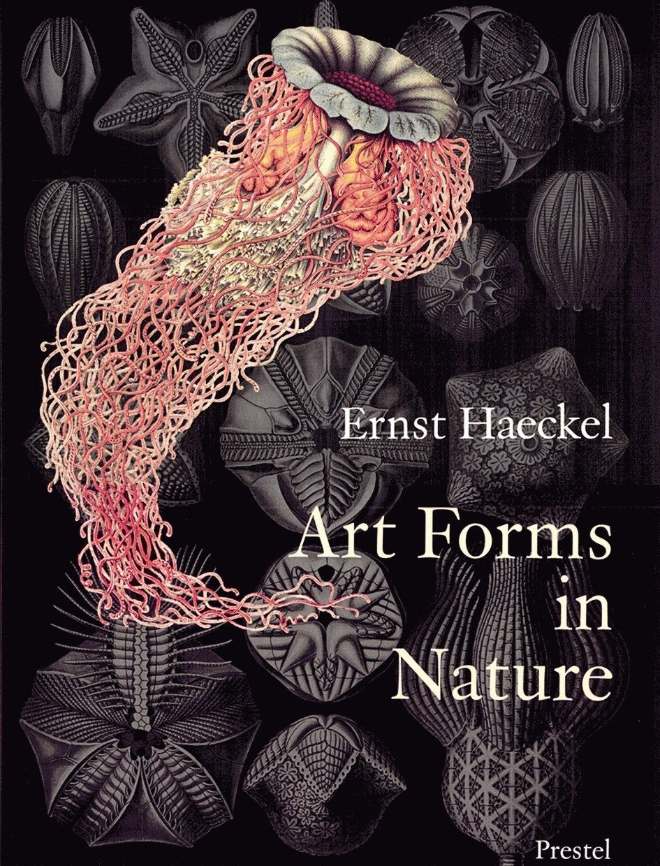 Art Forms in Nature - The Prints of Ernst Haeckel : One Hundred Color Plates