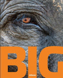Big - A Photographic Album of the World's Largest Animals