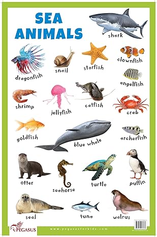 Sea Animals Educational