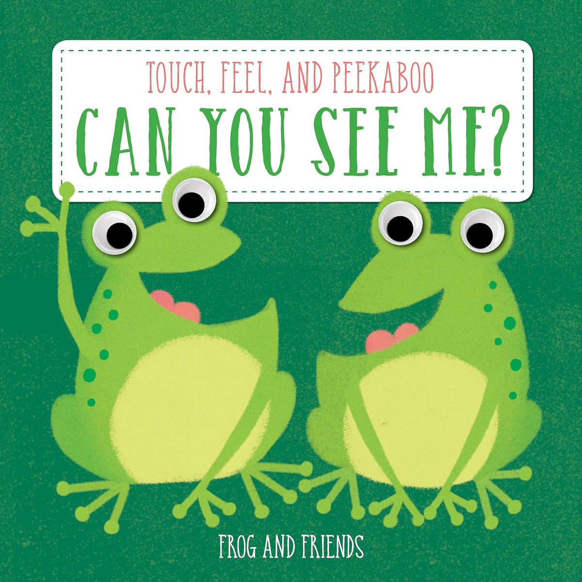 Can You See Me? Frog and Friends