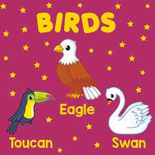 PARAMOUNT LITTLE HAND'S BOARD BOOK BIRDS