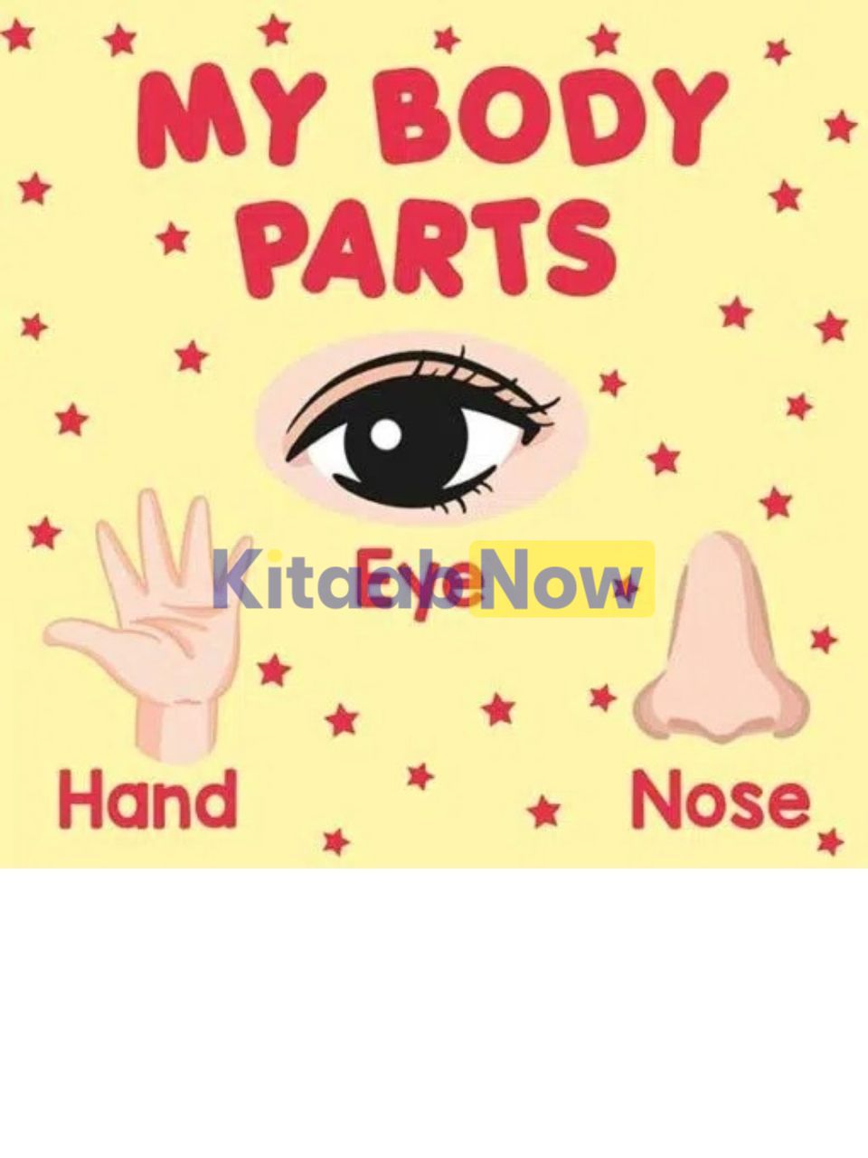 PARAMOUNT LITTLE HAND'S BOARD BOOK MY BODY PARTS