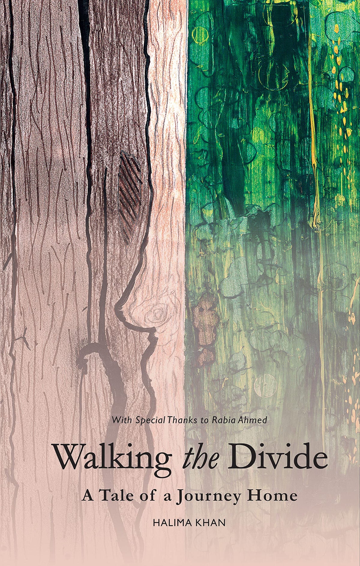 Walking the Divide - A Tale of a Journey Home :