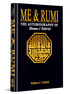 Me and Rumi the Autobiography of Shams i Tabrizi