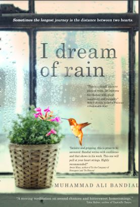 I dream of rain
