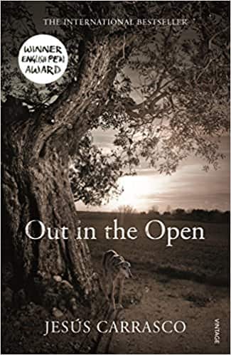 Out in the Open Paperback