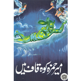 Ameer Hamza Koh Kaaf Main
