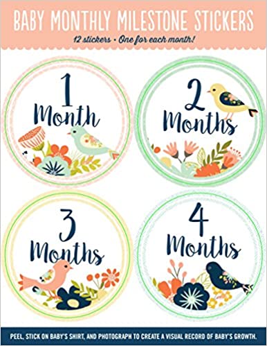 Baby Monthly Milestone Stickers - Paperback
