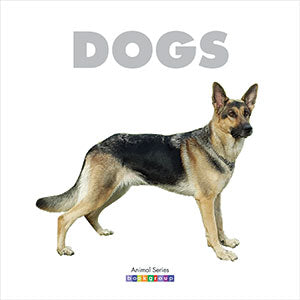DOGS ANIMAL SERIES