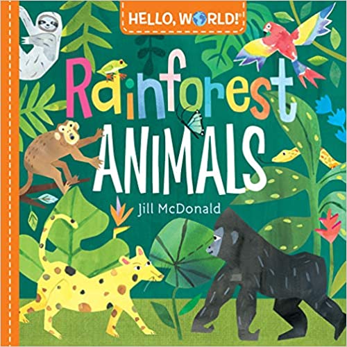 Hello, World! Rainforest Animals - Board book