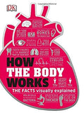How the Body Works Big Stuff Simply Explained