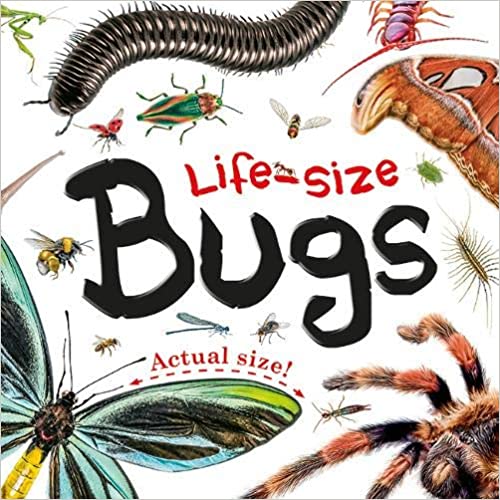 Life-size: Bugs: Life-size Boards - Board book