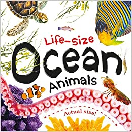 Life-size: Ocean Animals - Board book