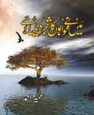 Main Nay Khuwabo Ka Shajar Dekha - (HB)
