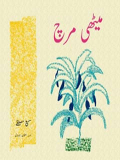 Meethi Mirch  - Paperback