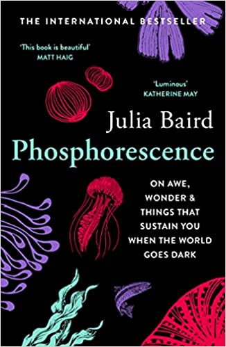 Phosphorescence: On awe, wonder and things that sustain you when the world goes dark