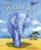 Picture Flat: Mr Wrinkles - Paperback