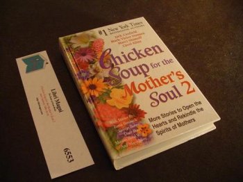 Chicken Soup for the Mother's Soul 2