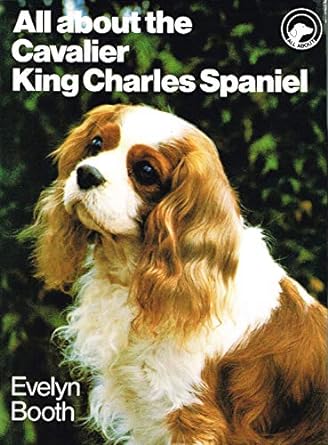 All about the Cavalier King Charles spaniel