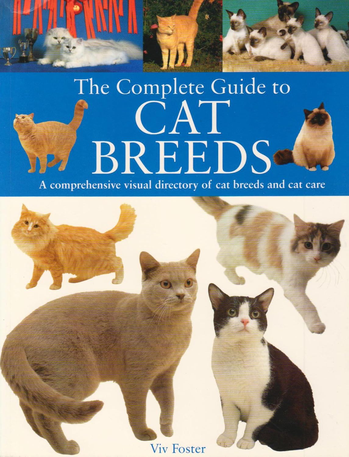 Complete Guide: Cat Breeds