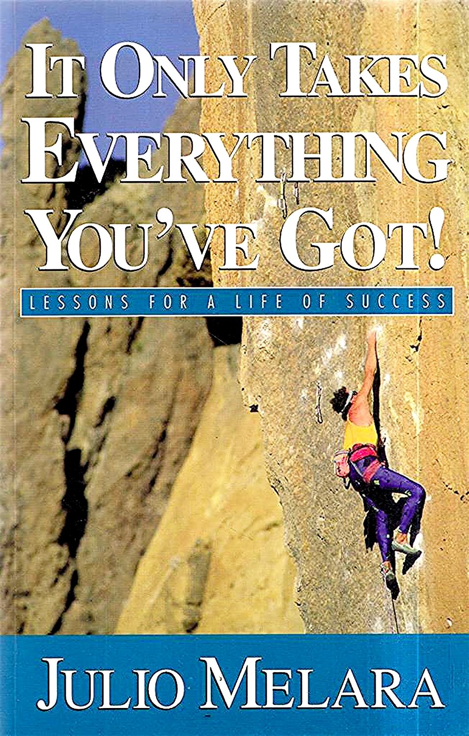 It Only Takes Everything You've Got!: Lessons for a Life of Success