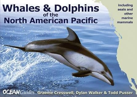Whales and Dolphins of the North American Pacific