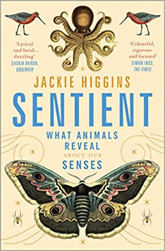 Sentient: What Animals Reveal About Human Senses