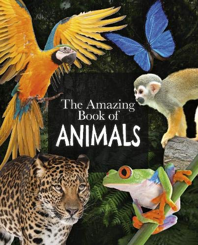 The Amazing Book of Animals - (PB)