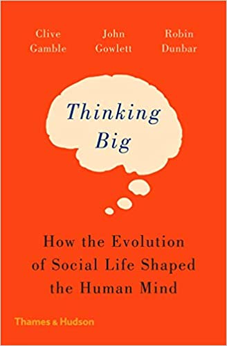 Thinking Big: How the Evolution of Social Life Shaped the Human Mind - Paperback