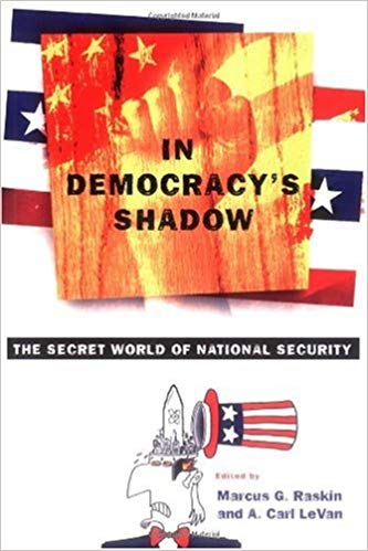 In Democracy's Shadow