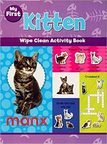 WIPE CLEAN ACTIVITY BOOK: KITTEN