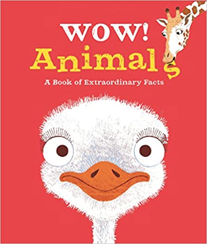 Wow! Animals - Paperback